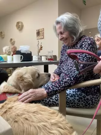 4706DDBD-706C-48C9-A660-18E2C118FA3A