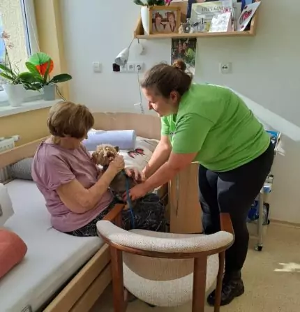 52ddfcac-3265-4cb6-96e9-1cd7ff712aa0