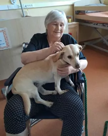 734ae01c-833b-477d-a01d-bbc739ee1bb8