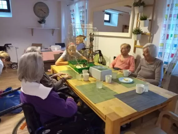 IMG_20240918_092258_969