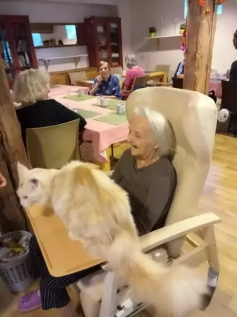 IMG_20240918_092340_473