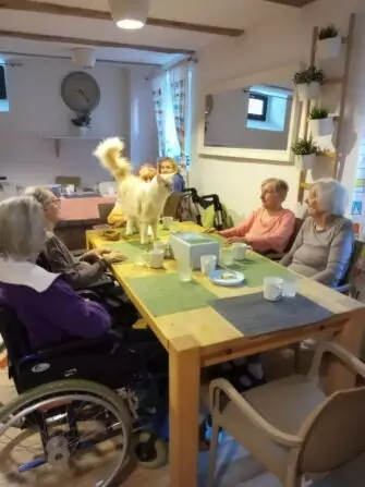 IMG_20240918_092523_846