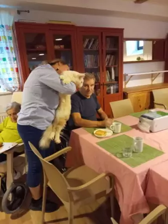 IMG_20240918_092732_737