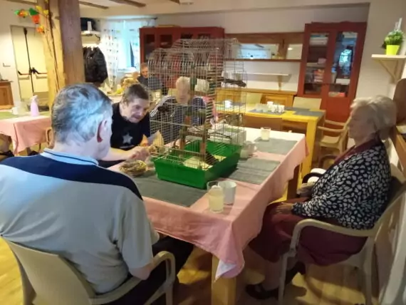 IMG_20240918_092931_459