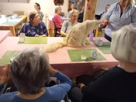 IMG_20240918_095906_890