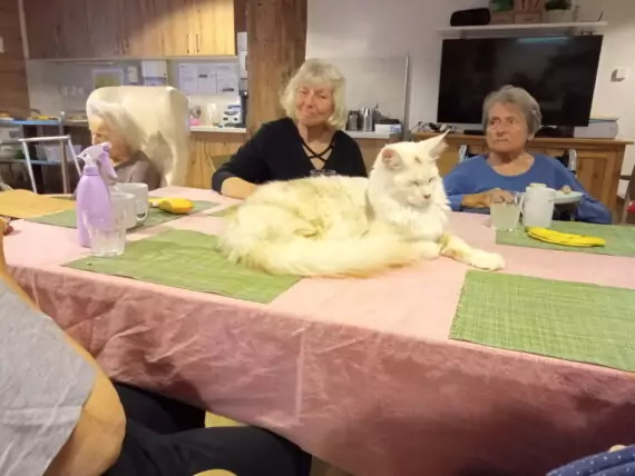 IMG_20240918_101350_655