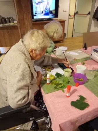 IMG_20240924_101310_4