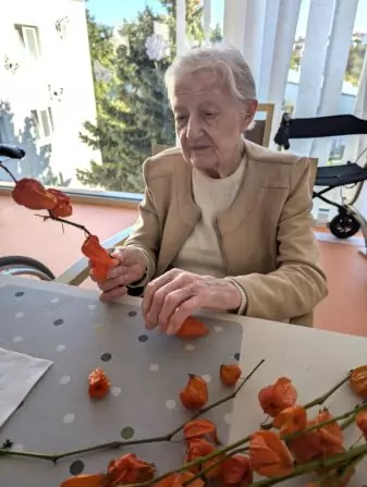 PXL_20241001_075935731