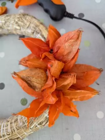 PXL_20241001_080229466