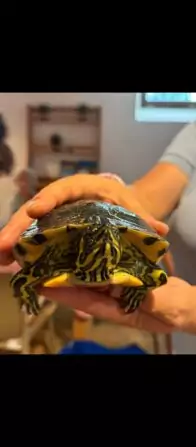 Screenshot_2024-07-30-12-21-23-798_com.miui.gallery