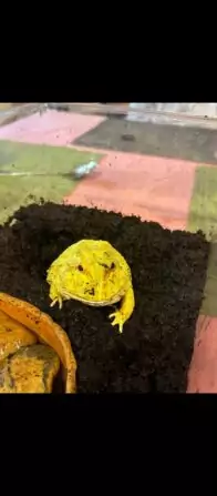 Screenshot_2024-07-30-12-21-29-517_com.miui.gallery