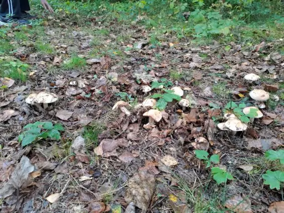 bb9f4512-116a-4d1f-bd26-bee93758d815