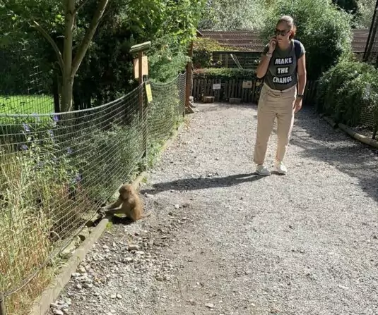 cd29a644-b63f-46b2-8437-32f1cd6099f8