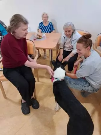 cf2f49a2-17a2-4bb9-987d-6783f9cc8b35