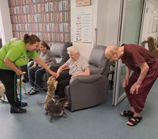 d6402f97-ba49-4744-bf03-fa63f58bfc3d