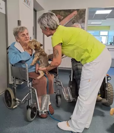 fd7a07ea-4dfd-494f-a0ac-f18607ec3ec4