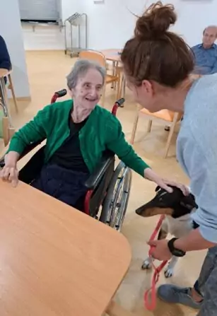 fe183ac5-2e0d-4f5f-b04c-3f28310bc4ce