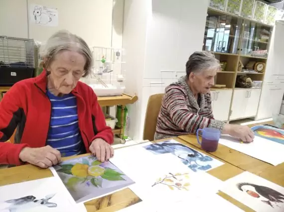 suché pastely říjen (1)