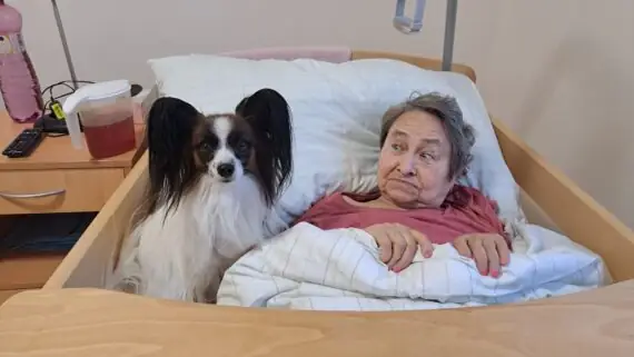 39fd10ae-a79f-427f-8a6f-8c35d2bdcdae