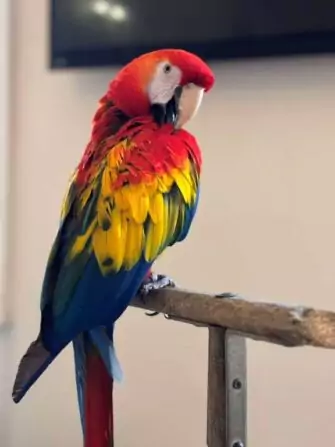 462584008_548313514637377_508919171233312790_n