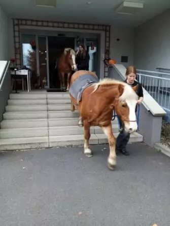 465655532_972832698217098_1300337650552636251_n