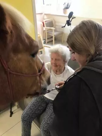 465787383_972831641550537_1502784774249108490_n