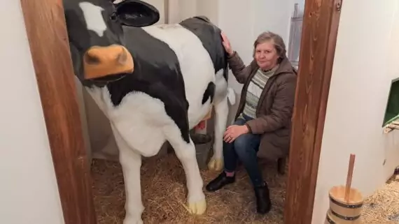 6af7433c-88ab-4dca-92be-bb08f631a105