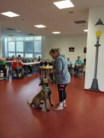 70bb499b-aff4-4f48-8018-044d149a5520