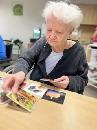 Obrázek WhatsApp, 2024-11-07 v 14.58.03_f65503ae