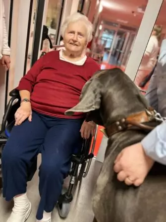 Obrázek WhatsApp, 2024-11-14 v 14.51.11_82a18e06