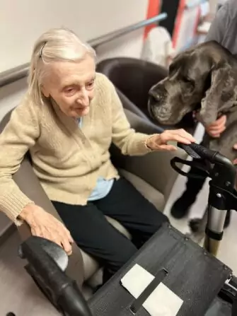 Obrázek WhatsApp, 2024-11-14 v 14.51.28_52285fa8