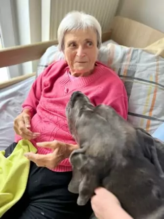 Obrázek WhatsApp, 2024-11-14 v 14.53.47_368d7288