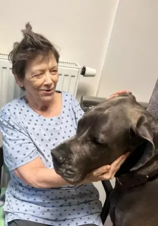 Obrázek WhatsApp, 2024-11-14 v 14.55.10_a3cee978