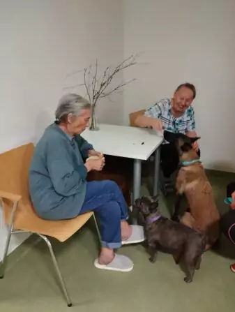 a3c9ab03-cd1c-435b-a86a-939a496fb07c