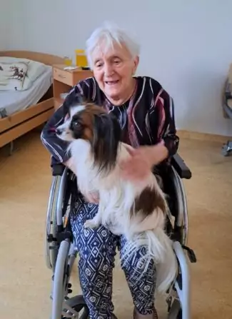 e477d2ec-1b01-4e2c-b0b1-f559f3648954