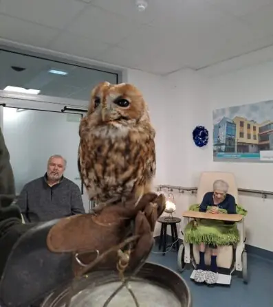 091cc2c8-5dc4-413f-bec4-b197888581a2