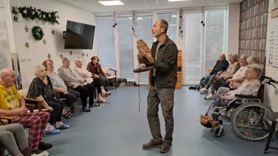 1146e5ee-8b7d-43ea-abc2-1188c09bae75