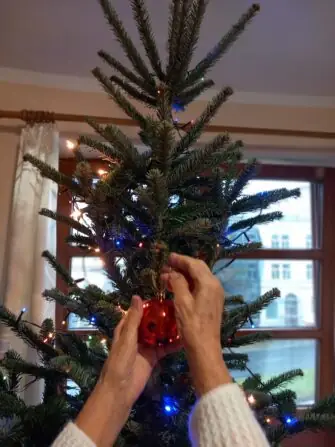 1999dd73-47d1-48a7-a8b5-3523d8bca40a