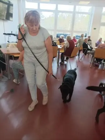 23373a6c-3283-416d-8261-0356e1d021cd