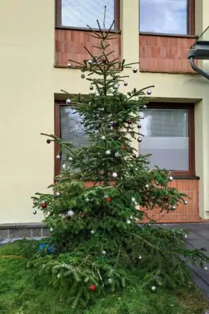 272350c8-9749-4f60-833b-070641696ba1