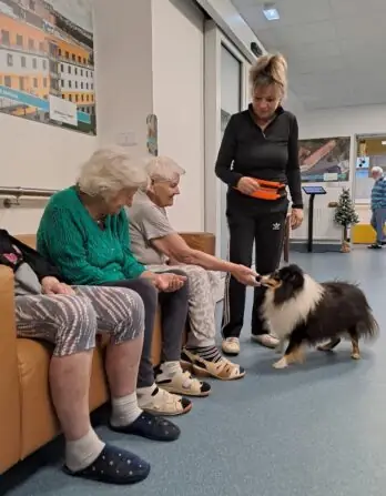 2da58376-fef8-41f2-b306-951514981133