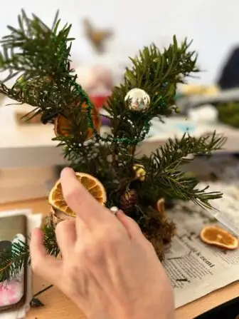 462542224_549091597920597_2490675852976251806_n