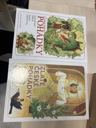 462566353_601376422281656_3412198734059168753_n