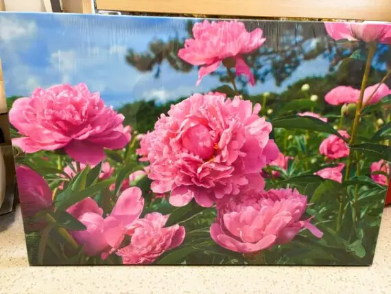 466461670_1033840418546935_3519032760437799127_n