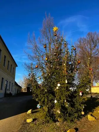 467651067_1122881202743561_4940081086769865572_n