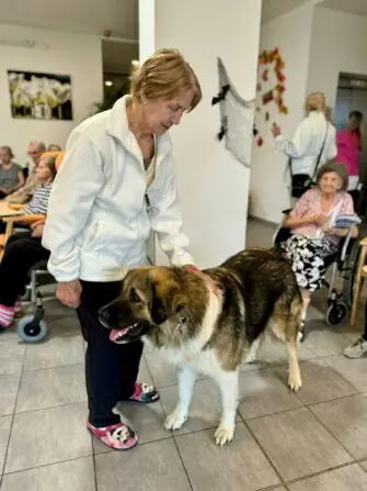 468427427_556684727074520_4900980202597639020_n