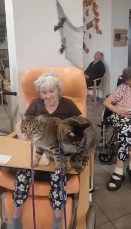 468597155_556686193741040_732128301711142048_n