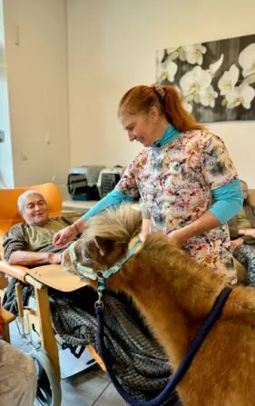 468655187_556683747074618_4027630030659548040_n