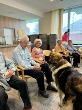 468794130_556684603741199_6967467821751694949_n