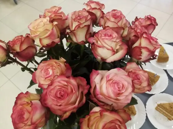 468866200_991473476353020_2891054863032630638_n